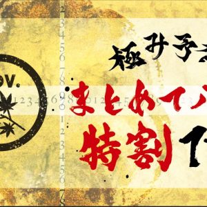 2025年 11月まとめてパス特割 日割変動特別割引
